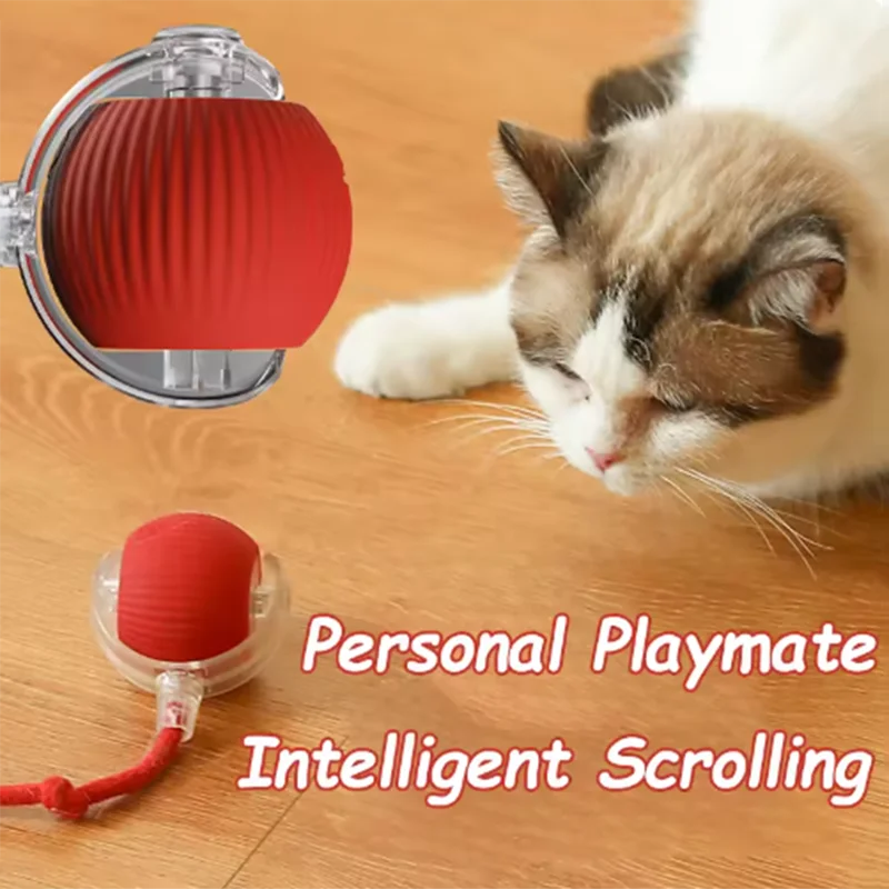 https://petunivers.com/